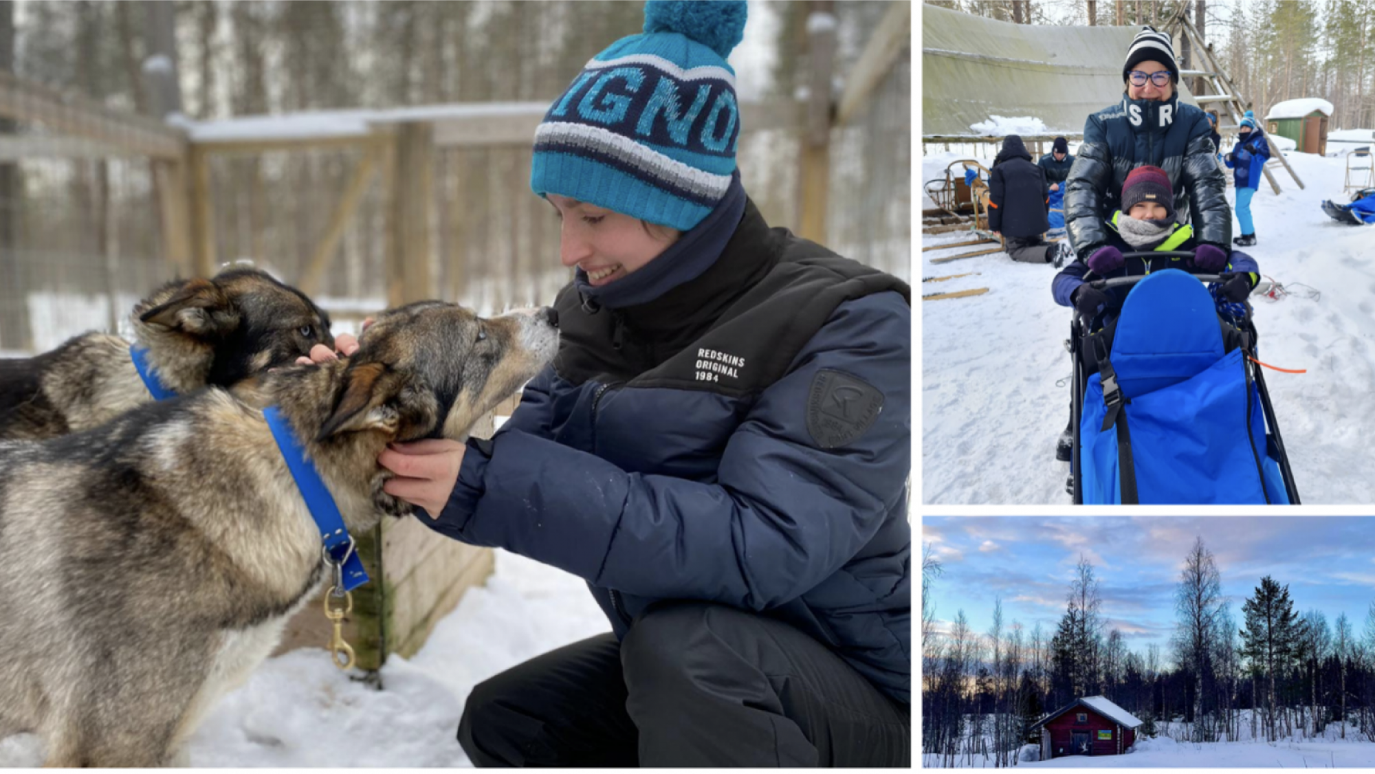 [Expédition] La Laponie Finlandaise en chiens de traineaux