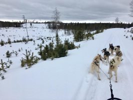 Notre zone d'activité pour ce service Intervention bénévoles mission solidaire pour enfants malades
