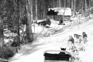 Nos prestations sur le secteur de Paris