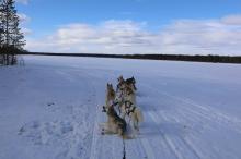 Nos prestations sur le secteur de Marseille