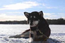 Notre zone d'activité pour ce service Association pour les enfants atteints de cancer