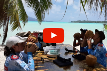 Nos prestations sur le secteur de Paris